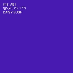 #491AB1 - Daisy Bush Color Image